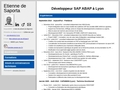 Développeur ABAP en Rhône-Alpes