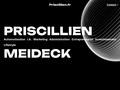 Consultant professionnel en technologie internet et networking : Priscillien Meideck