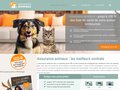 Comparez les assurances destinées aux animaux : Assurances animaux