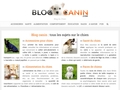 Informations et conseils à propos du chien