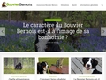 http://www.bouvier-bernois.com