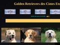 Elevage de golden retrievers des Cimes Etoilees à Savenay