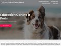 Dressage canin et éducation canine à domicile à Paris avec Au Poil
