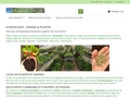 Ethnoplantes plantes et graines