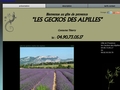 Location en provence:  gite les geckos des alpilles