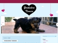 Informations sur le Yorkshire Terrier : leyorkshireterrier.com