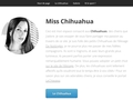 Informations sur le chihuahua : MissChihuahua