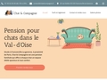 pension pour chat dans le Val d'OIse : Chat et compagnie