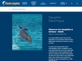 Dauphin-martinique.net : tout savoir sur les dauphins en Martinique