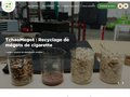 TchaoMégot: Collecte et recyclage de mégots de cigarettes en France