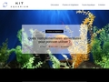 Kitaquarium.fr : informations sur les aquariums et les poissons