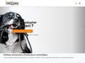 Annonces d'animaux de compagnie : UnCompagnon.fr